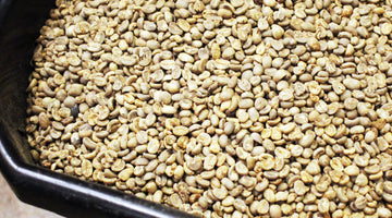Demystifying Coffee Roasts: A Journey Through the Spectrum at San Francisco Coffee