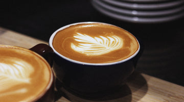 Why Fall Is the Perfect Season for Coffee: The Science Behind Fall Flavors