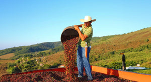 The Real Story Behind Coffee Prices