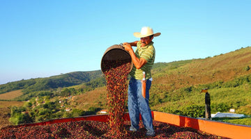 The Real Story Behind Coffee Prices