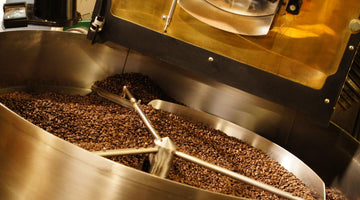 Close-up of dark roasted coffee beans cooling after roasting at San Francisco Coffee Roasting Company in Atlanta.