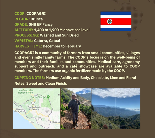 Costa Rican Tarrazu- Subscription