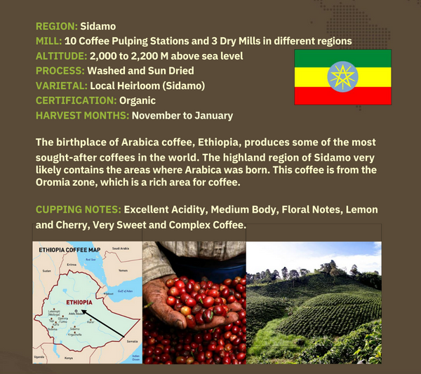 Ethiopian Sidamo